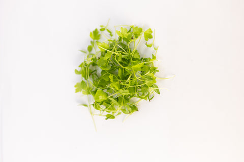 Celery
