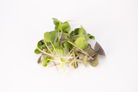 Radish, Confetti Mix