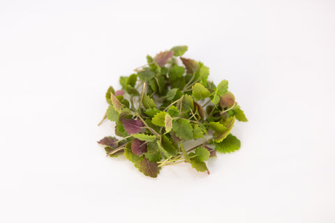Lemon Balm