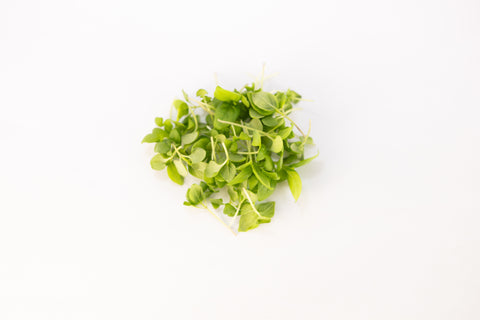 Basil, Lemon