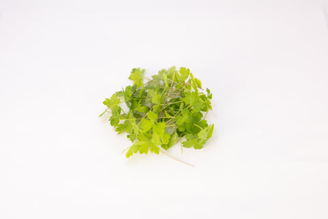 Parsley