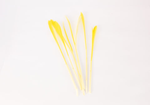 Popcorn Shoots, Yellow