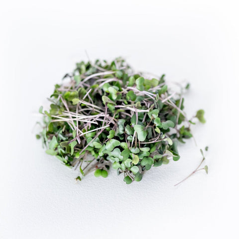 Red Cabbage Microgreens:  Vibrant, Nutrient-Dense, and Surprisingly Sweet