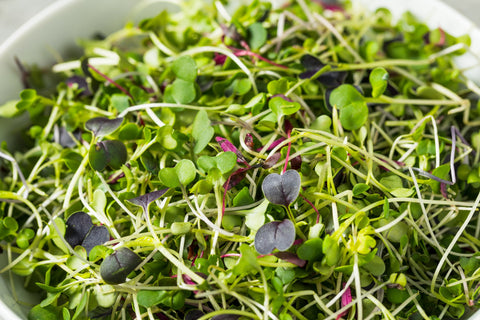 Custom Blends for Seasonal Menus: Precision Greens for Professional Kitchens