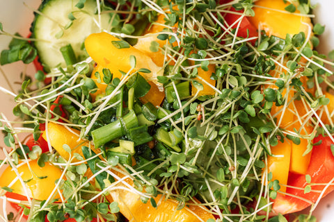 Cold Plates, Raw Bars & Garden Menus: Microgreens in Warm-Weather Service