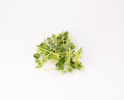 Arugula