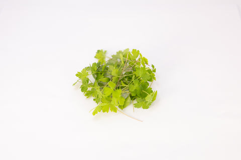 Parsley