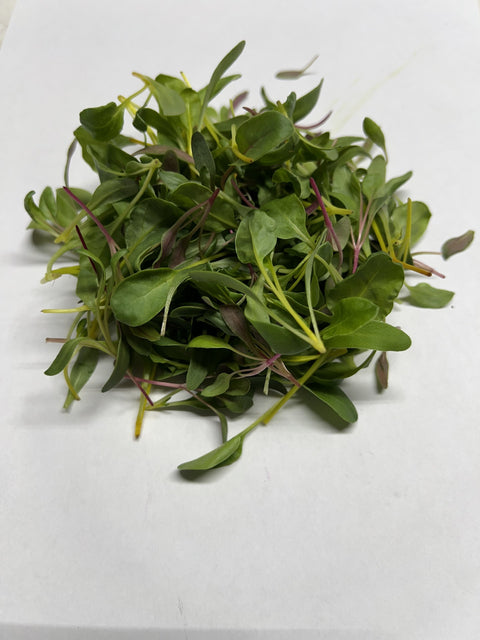 Chard Mix
