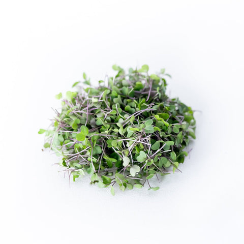 Kohlrabi, Purple