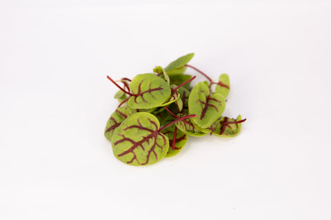 Sorrel, Petite Red Vein