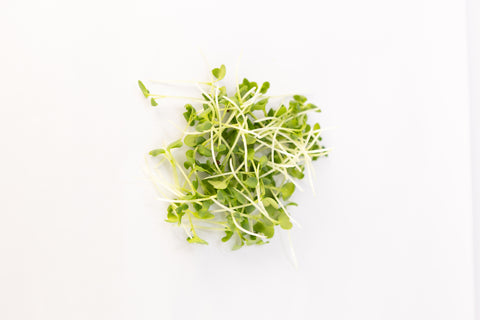 Mustard, Tatsoi